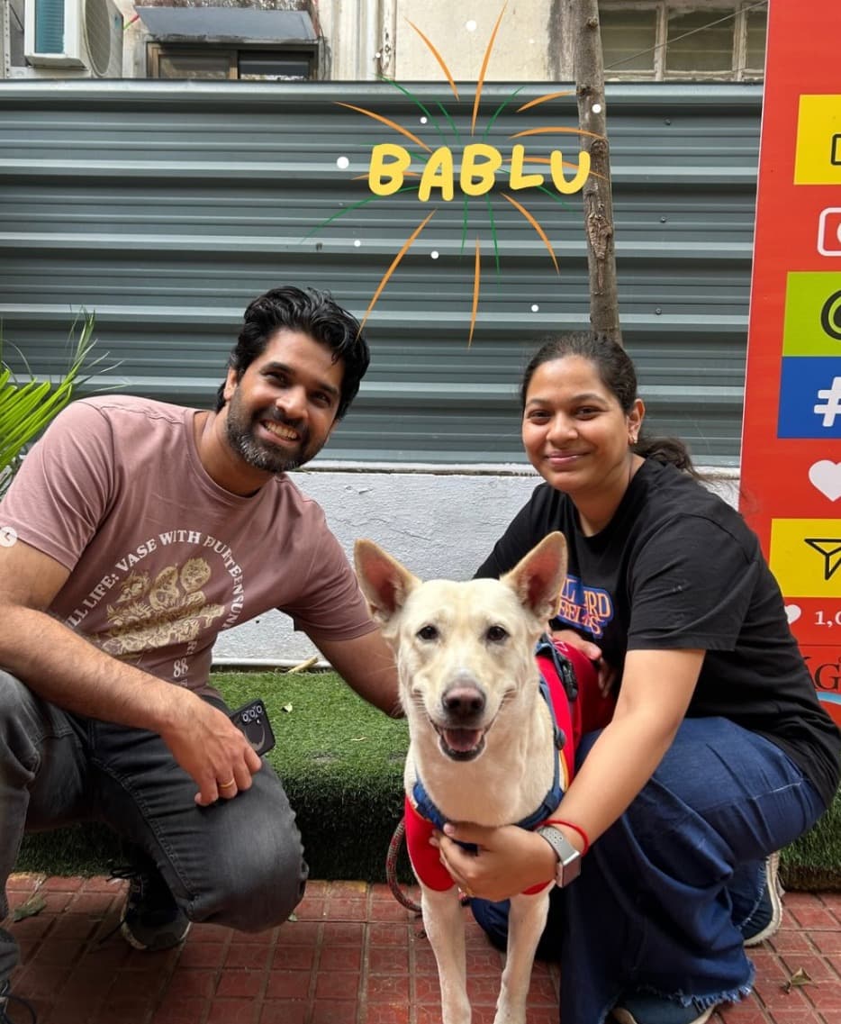Happy pup after grooming