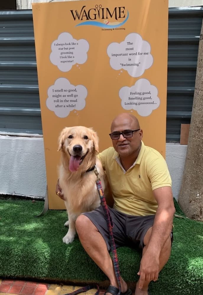 Dog grooming session at WagTime